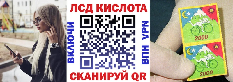 Купить закладки  Суздаль  Наркотические марки 1500мкг 
